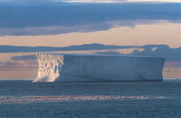 Iceberg A23a Breaks Free: Wildlife at Risk as World’s Largest Iceberg Drifts from Antarctica